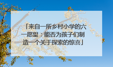 来自一所乡村小学的六一愿望：能否为孩子们制造一个关于探索的惊喜