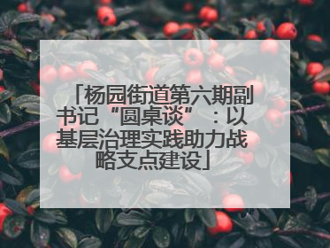 杨园街道第六期副书记“圆桌谈”：以基层治理实践助力战略支点建设