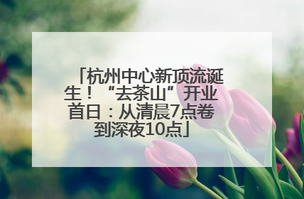 杭州中心新顶流诞生！“去茶山”开业首日：从清晨7点卷到深夜10点