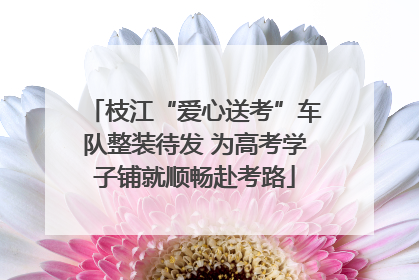 枝江“爱心送考”车队整装待发 为高考学子铺就顺畅赴考路