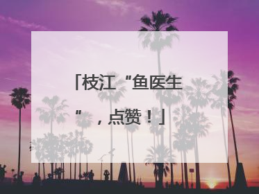 枝江“鱼医生”，点赞！