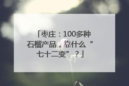 枣庄：100多种石榴产品，靠什么“七十二变”？