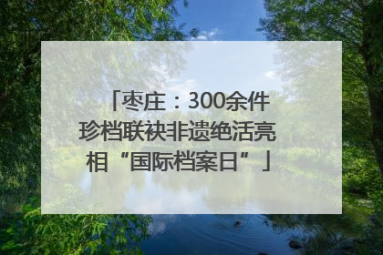 枣庄：300余件珍档联袂非遗绝活亮相“国际档案日”