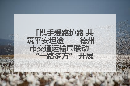 携手爱路护路 共筑平安坦途——德州市交通运输局联动 “一路多方” 开展路政宣传月活动