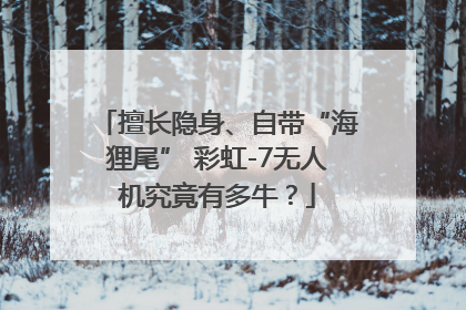 擅长隐身、自带“海狸尾” 彩虹-7无人机究竟有多牛？