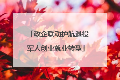 政企联动护航退役军人创业就业转型