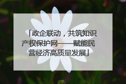 政企联动，共筑知识产权保护网——赋能民营经济高质量发展