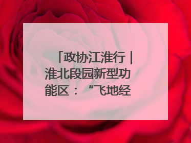政协江淮行｜淮北段园新型功能区：“飞地经济”拔节生长