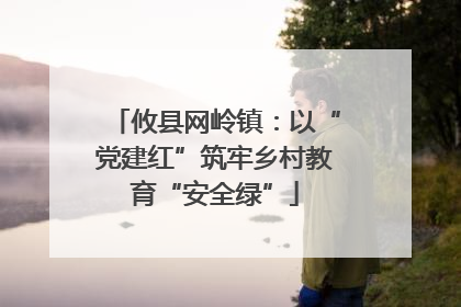 攸县网岭镇：以“党建红”筑牢乡村教育“安全绿”