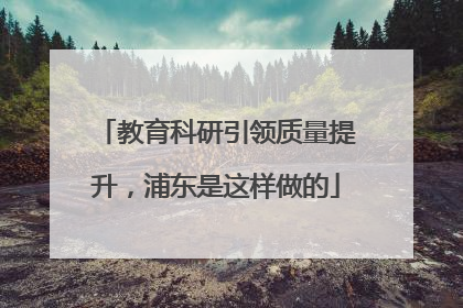 教育科研引领质量提升，浦东是这样做的