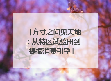 方寸之间见天地：从特区试验田到提振消费引擎