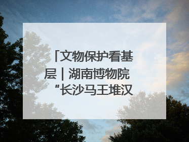 文物保护看基层｜湖南博物院“长沙马王堆汉墓陈列”展