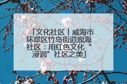 文化社区丨威海市环翠区竹岛街道观海社区：用红色文化“浸润”社区之美