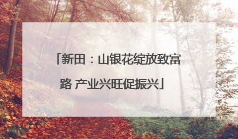 新田：山银花绽放致富路 产业兴旺促振兴