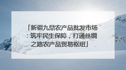 新疆九鼎农产品批发市场：筑牢民生保障，打通丝绸之路农产品贸易枢纽