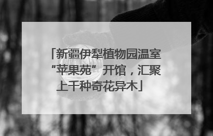 新疆伊犁植物园温室“苹果苑”开馆，汇聚上千种奇花异木