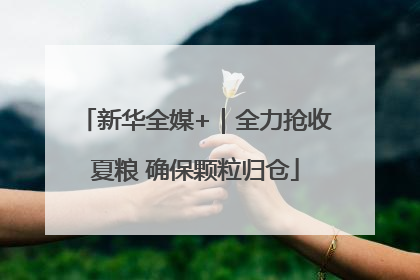 新华全媒+｜全力抢收夏粮 确保颗粒归仓