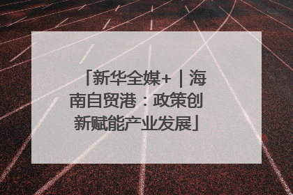 新华全媒+｜海南自贸港：政策创新赋能产业发展