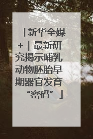 新华全媒+｜最新研究揭示哺乳动物胚胎早期器官发育“密码”