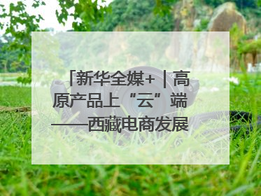 新华全媒+｜高原产品上“云”端——西藏电商发展一线观察