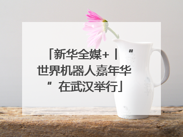 新华全媒+丨“世界机器人嘉年华”在武汉举行