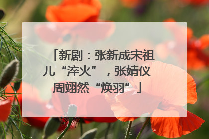 新剧：张新成宋祖儿“淬火”，张婧仪周翊然“焕羽”