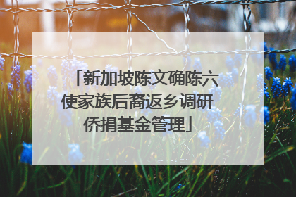 新加坡陈文确陈六使家族后裔返乡调研侨捐基金管理