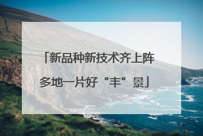 新品种新技术齐上阵 多地一片好“丰”景
