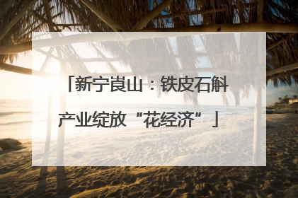 新宁崀山：铁皮石斛产业绽放“花经济”