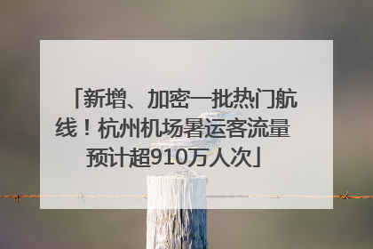 新增、加密一批热门航线！杭州机场暑运客流量预计超910万人次