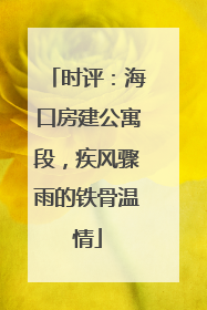 时评：海口房建公寓段，疾风骤雨的铁骨温情