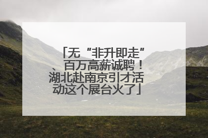 无“非升即走”、百万高薪诚聘！湖北赴南京引才活动这个展台火了