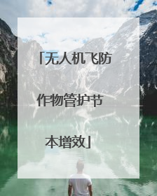 无人机飞防 作物管护节本增效