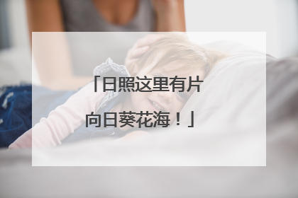 日照这里有片向日葵花海！