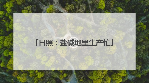 日照：盐碱地里生产忙