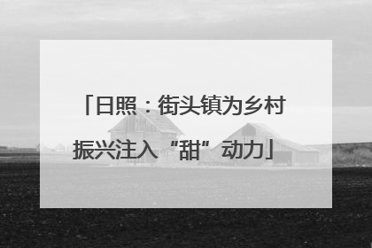日照：街头镇为乡村振兴注入“甜”动力