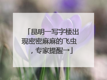 昆明一写字楼出现密密麻麻的飞虫，专家提醒→