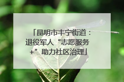 昆明市丰宁街道：退役军人“志愿服务+”助力社区治理