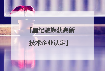 星纪魅族获高新技术企业认定