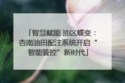 智慧赋能 油区蝶变：杏南油田配注系统开启“智能管控”新时代