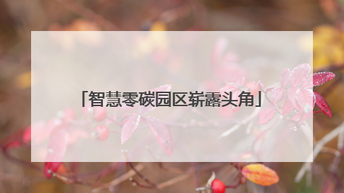 智慧零碳园区崭露头角