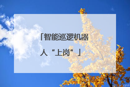智能巡逻机器人“上岗”