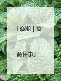 晚潮｜蔷薇往事