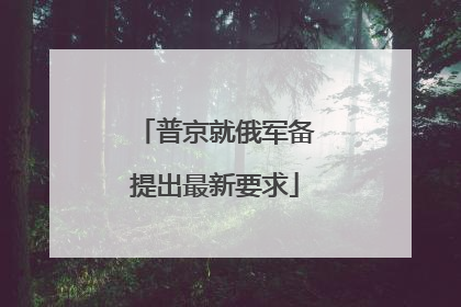 普京就俄军备提出最新要求