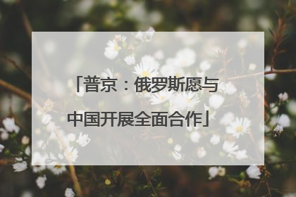 普京：俄罗斯愿与中国开展全面合作