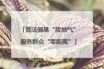 普法强基“接地气” 服务群众“零距离”