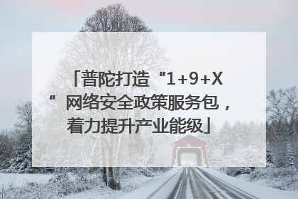 普陀打造“1+9+X”网络安全政策服务包，着力提升产业能级