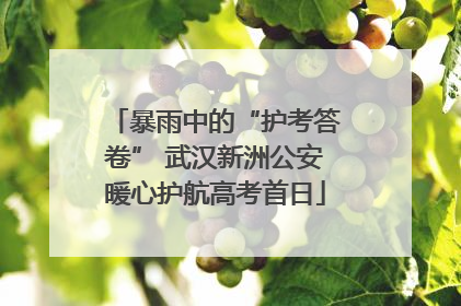 暴雨中的“护考答卷” 武汉新洲公安暖心护航高考首日