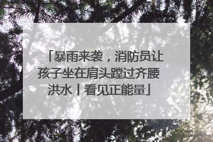 暴雨来袭，消防员让孩子坐在肩头蹚过齐腰洪水丨看见正能量
