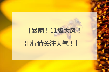 暴雨！11级大风！出行请关注天气！
